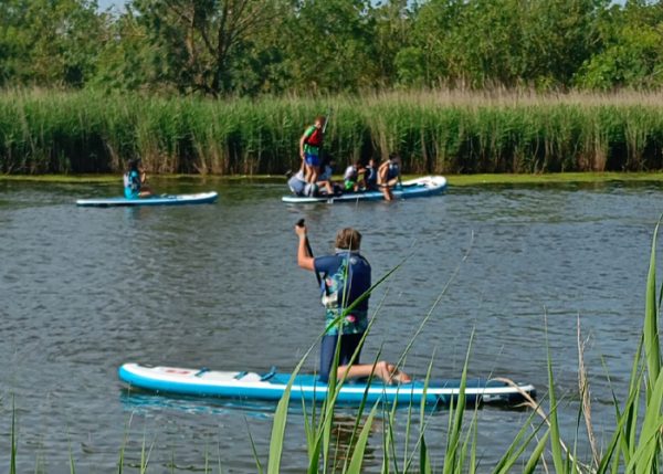 Lloguer paddle surf