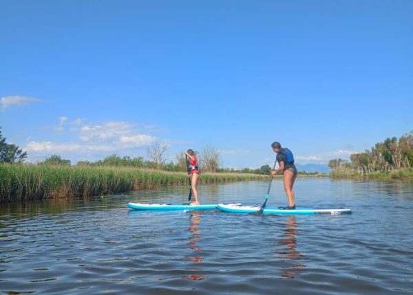 Lloguer paddle surf